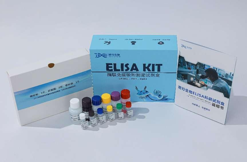 人白细胞介素10(IL-10)ELISA科研试剂盒