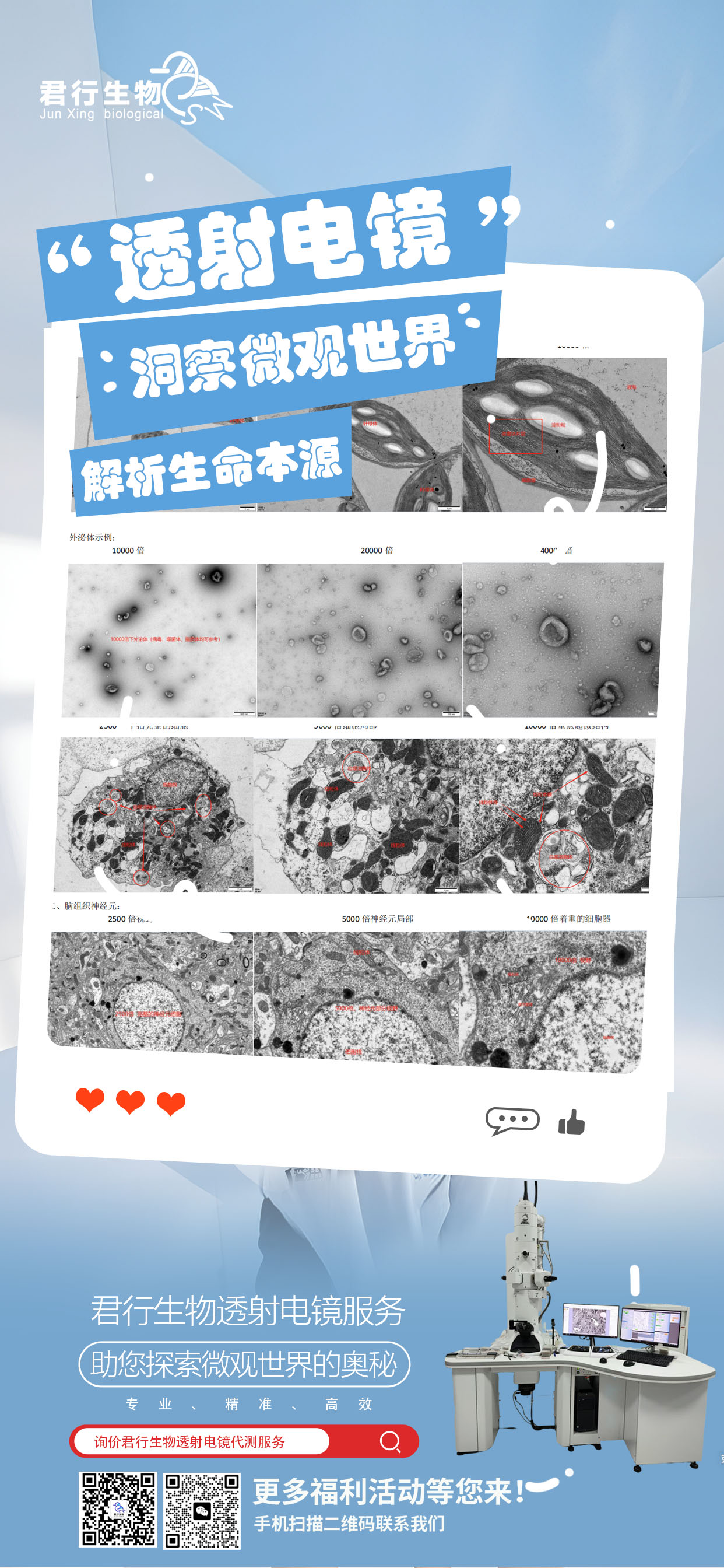 君行生物透射电镜服务：洞察微观世界，解析生命本源